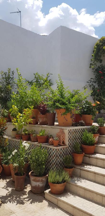 Casa Rural Los Danzantes Fuente-Tojar Exteriér fotografie