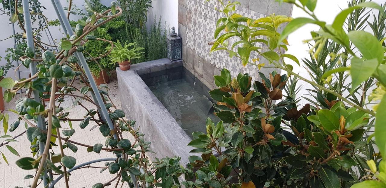 Casa Rural Los Danzantes Fuente-Tojar Exteriér fotografie