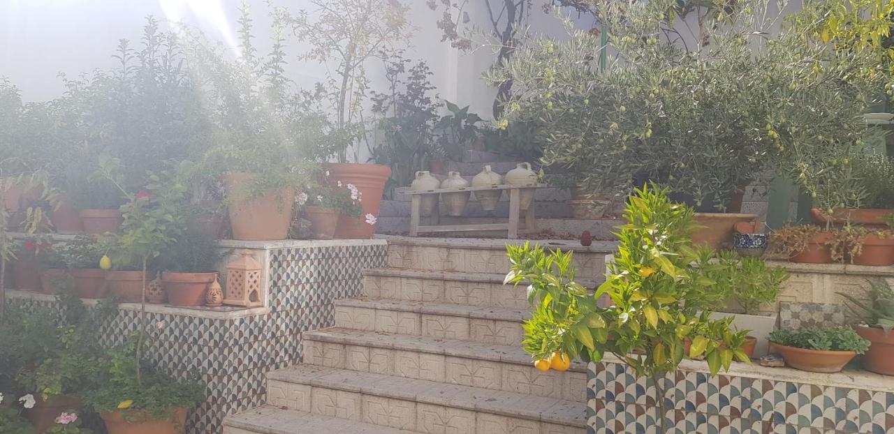 Casa Rural Los Danzantes Fuente-Tojar Exteriér fotografie