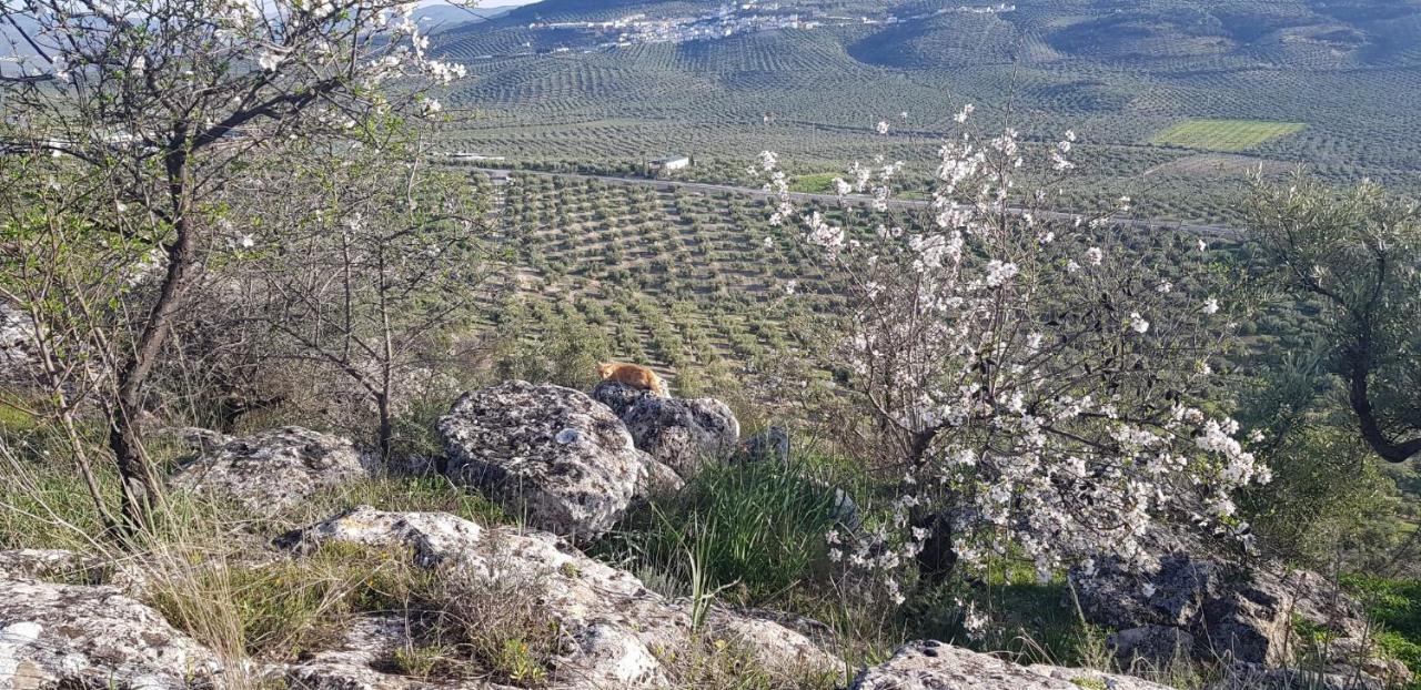 Casa Rural Los Danzantes Fuente-Tojar Exteriér fotografie