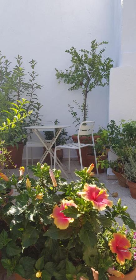 Casa Rural Los Danzantes Fuente-Tojar Exteriér fotografie